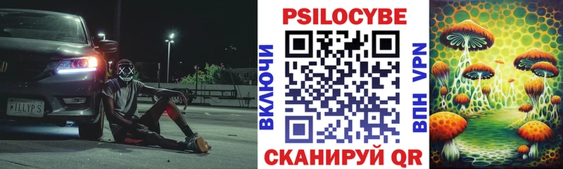 наркотики  Велиж  Псилоцибиновые грибы мицелий 